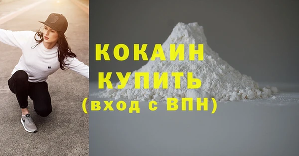 стафф Няндома