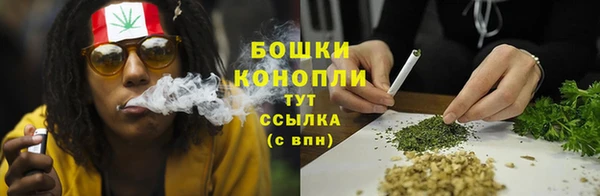 марки lsd Новозыбков