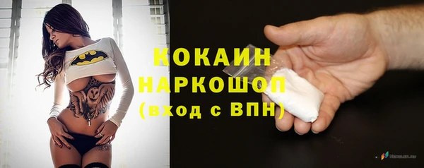 стафф Няндома