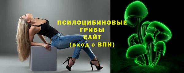 PSILOCYBIN Нязепетровск