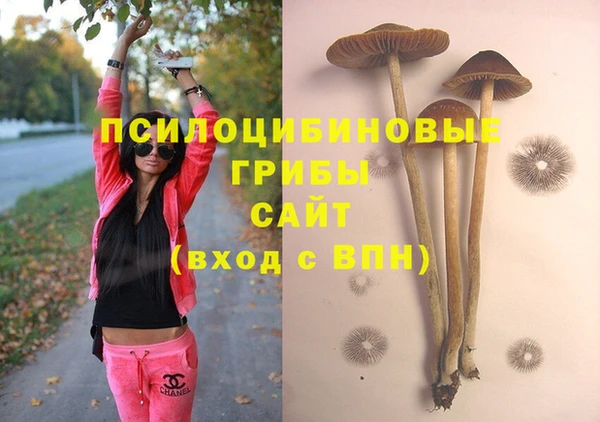PSILOCYBIN Нязепетровск