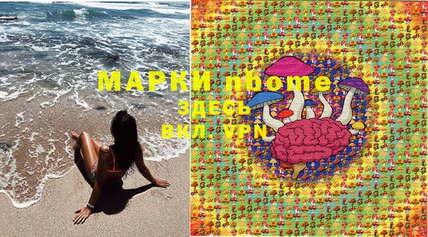 марки lsd Новозыбков