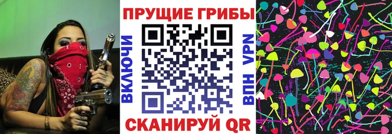MEGA маркетплейс  наркотики  Олонец  Галлюциногенные грибы ЛСД 